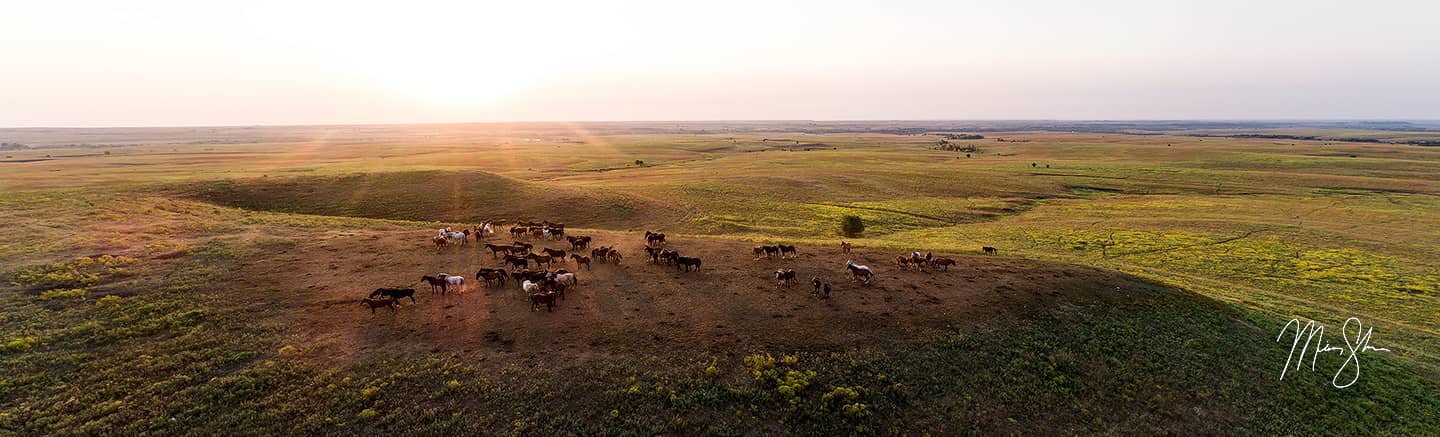 Flint Hills Horses Panorama - Teter Rock, Cassoday, Kansas