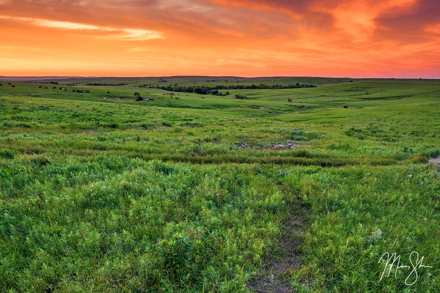 Flint Hills Sunset - Texaco Hill, The Flint Hills, Kansas