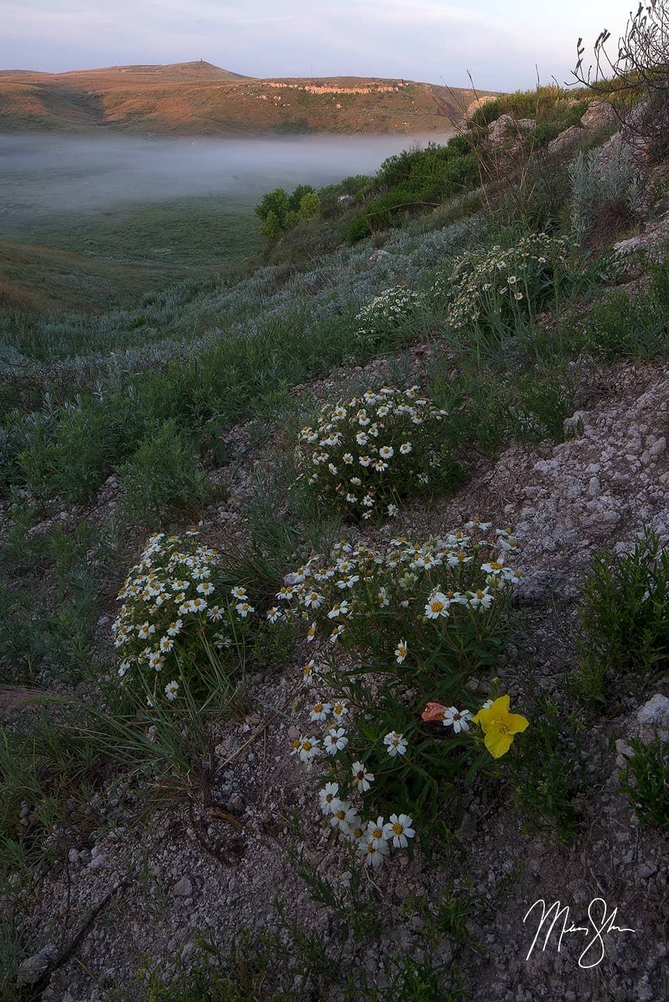 Foggy Little Basin - Little Basin, Ashland, Kansas