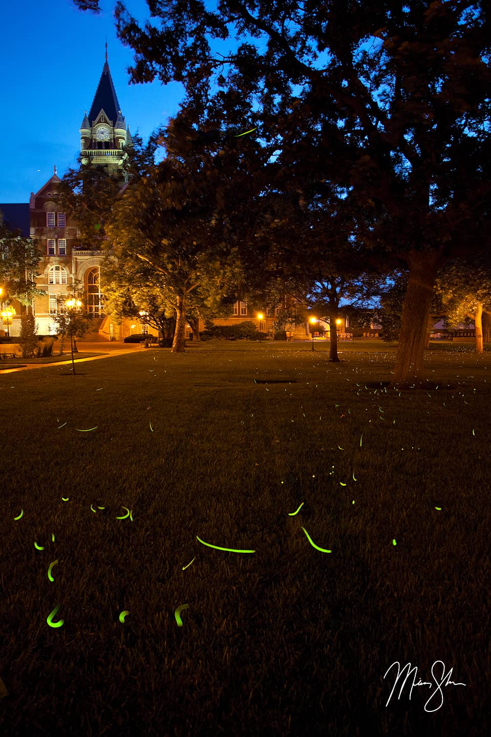 Friends University Fireflies - Friends University, Wichita, Kansas