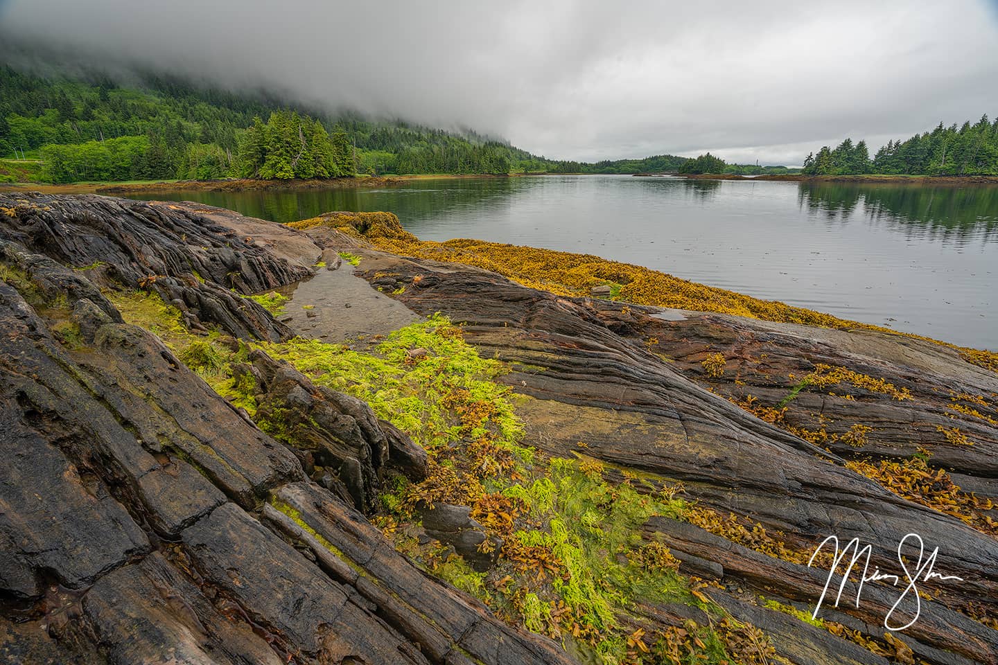 Galloway Rapids - Prince Rupert, British Columbia, Canada