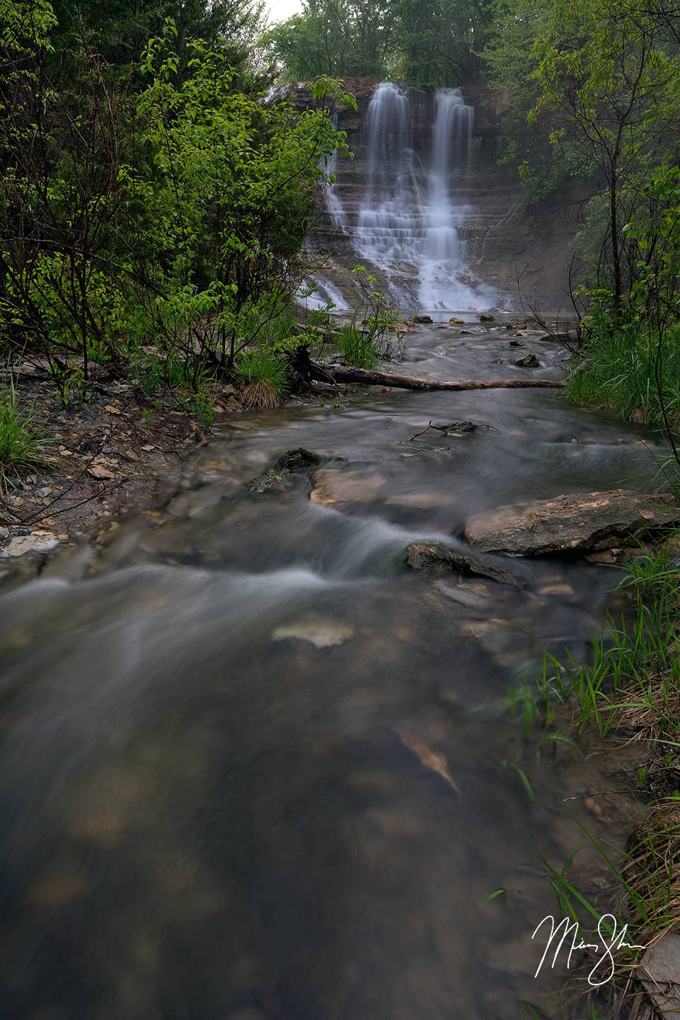 Geary Falls Fog