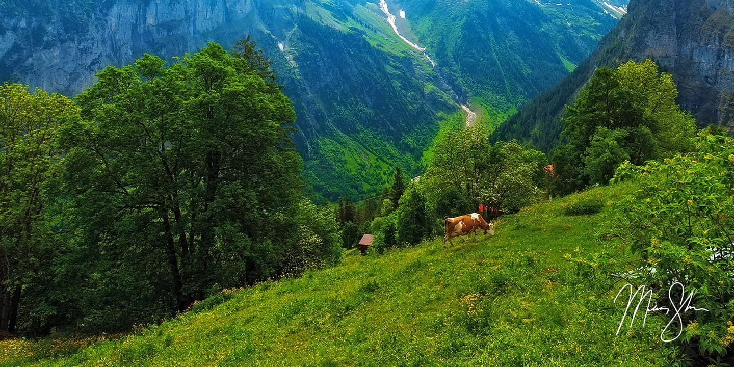 Gimmelwald - Gimmelwald, Switzerland