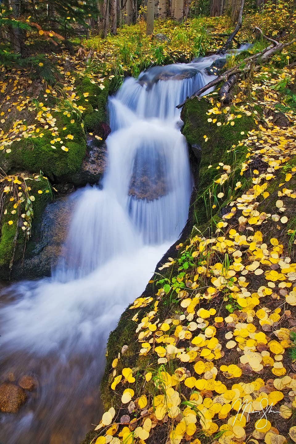 Golden Boulder Brook - Boulder Brook, Rocky Mountain National Park, Estes Park, Colorado