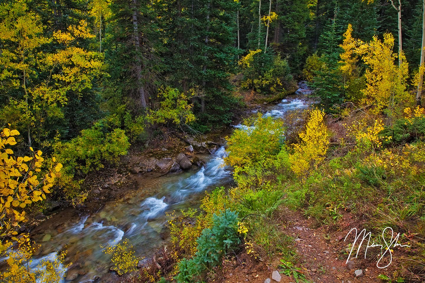 Golden Castle Creek - Ashcroft Ghost Town, Aspen, Colorado