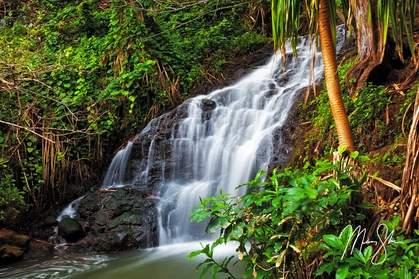 Hawaiian Waterfalls - Queen's Bath, Princeville, Kauai, Hawaii