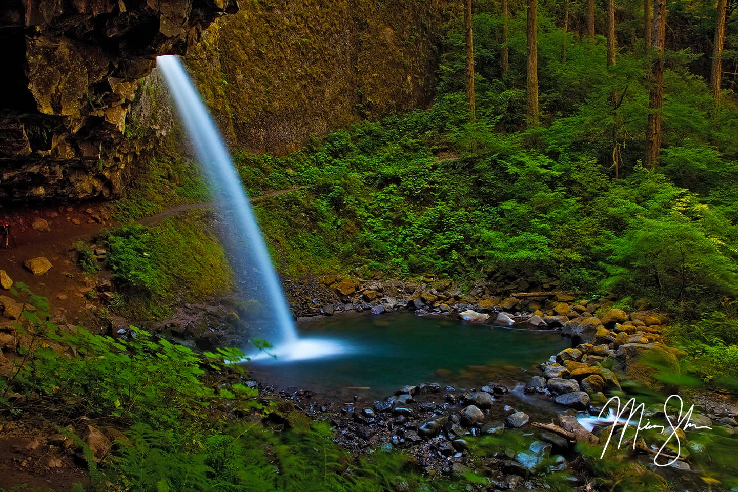 Horsetail Falls - Horsetail Falls, Columbia River Gorge, Oregon, USA