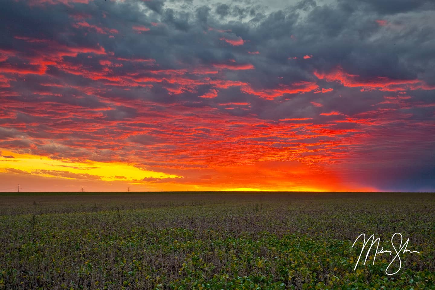 Just Your Average Kansas Sunset - Bel Aire, Kansas