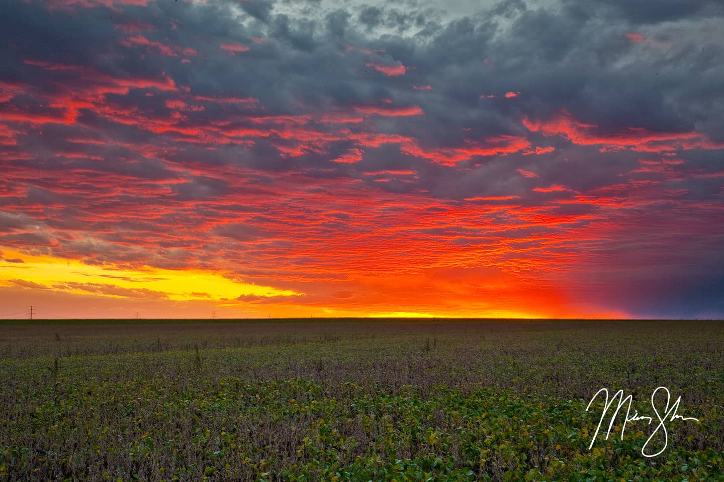 Image result for kansas sunset