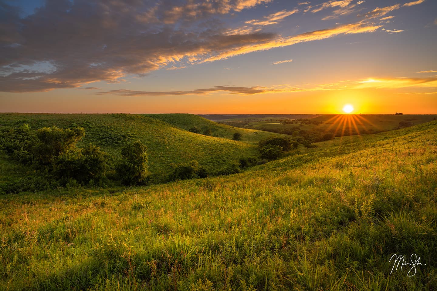 Kansas Photography: Sunflowers & Flint Hills