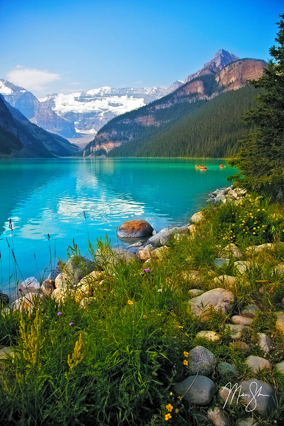 Lake Louise Flowers