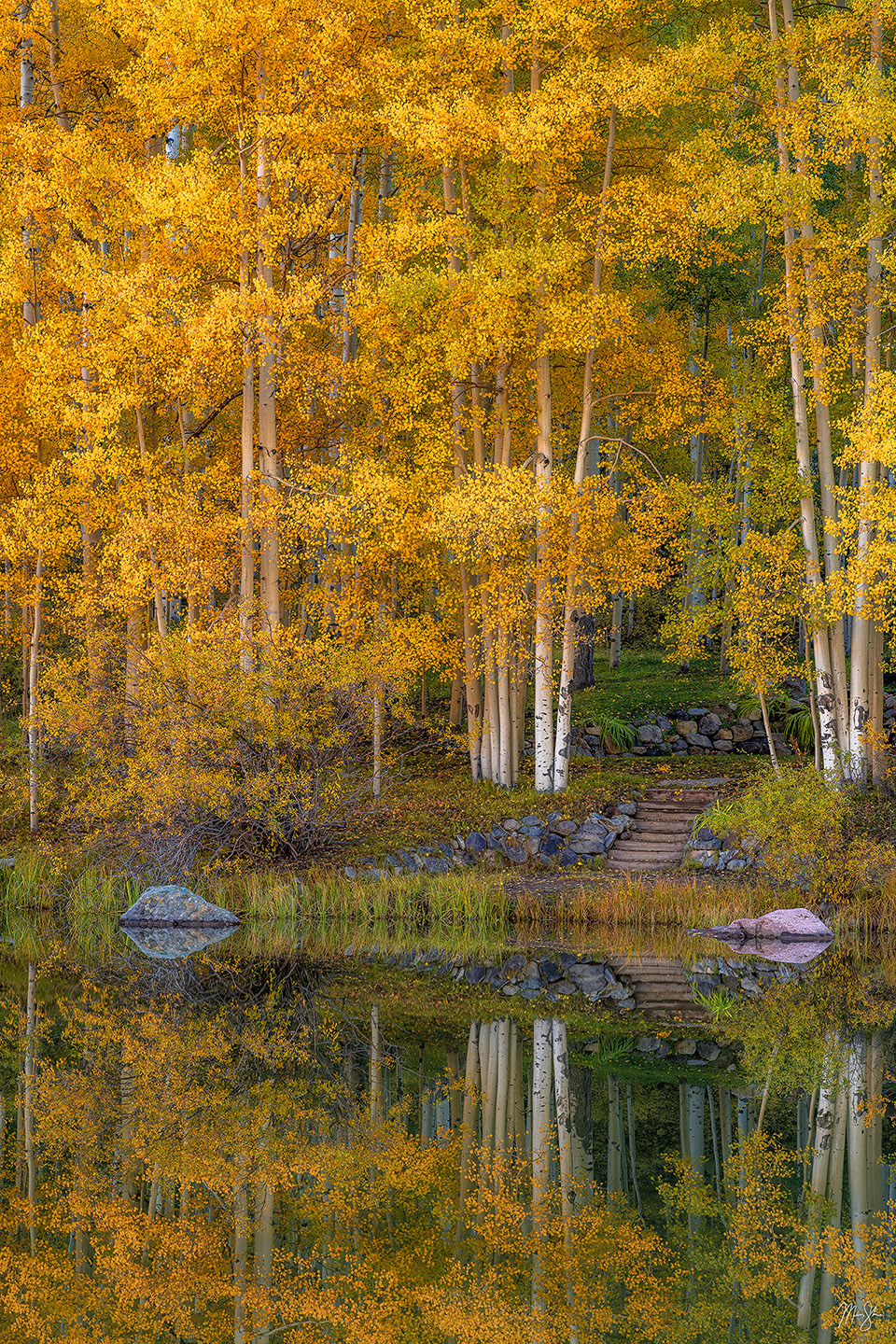 A pathway to the lake leads through an aspen forest at the height of fall colors. Lack of wind created a perfect reflection in the pond below. Also available in an ultra thin 1x3 vertical format and standard landscape format.