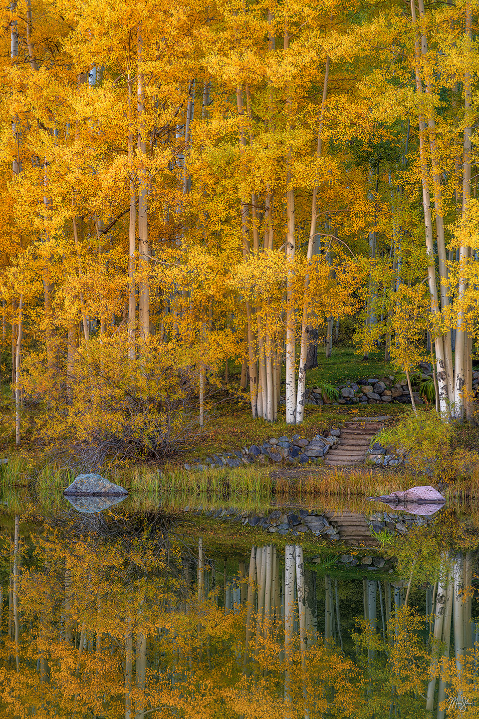 Lakeside Pathway Vertical - San Juans, Colorado