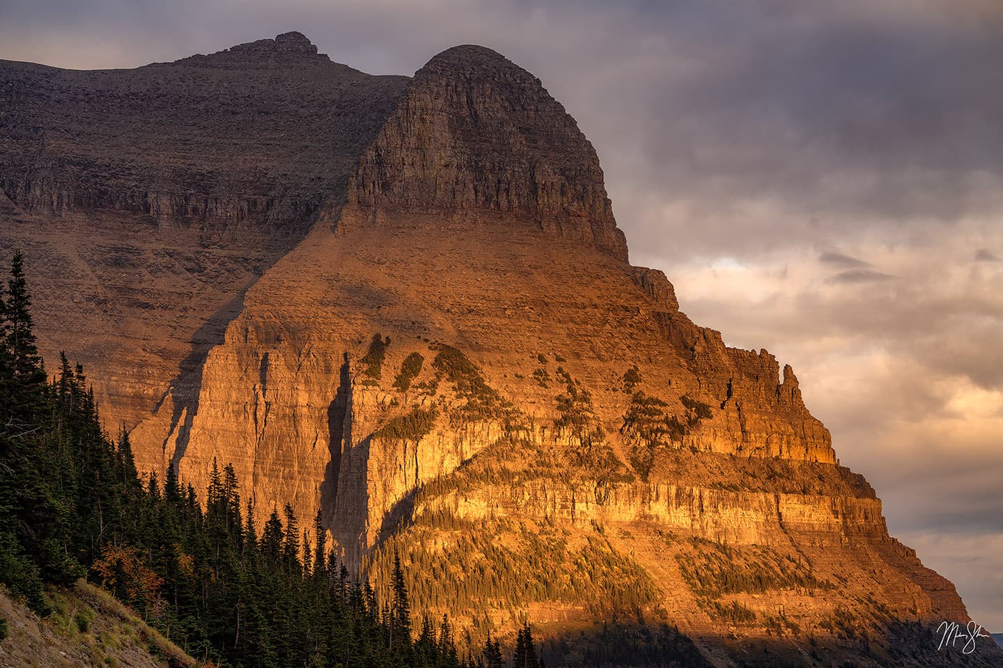 Last Light on Going-to-the-Sun Mountain - Logan Pass, Glacier National Park, Montana