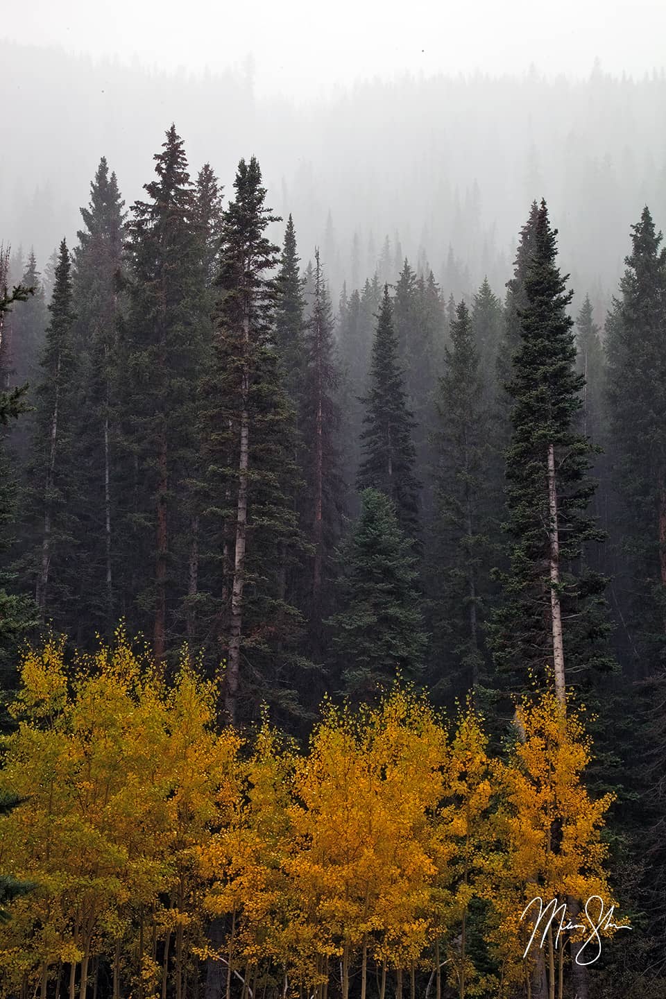 Layers of Fall - Maroon Lake, Maroon Bells, Aspen, Colorado