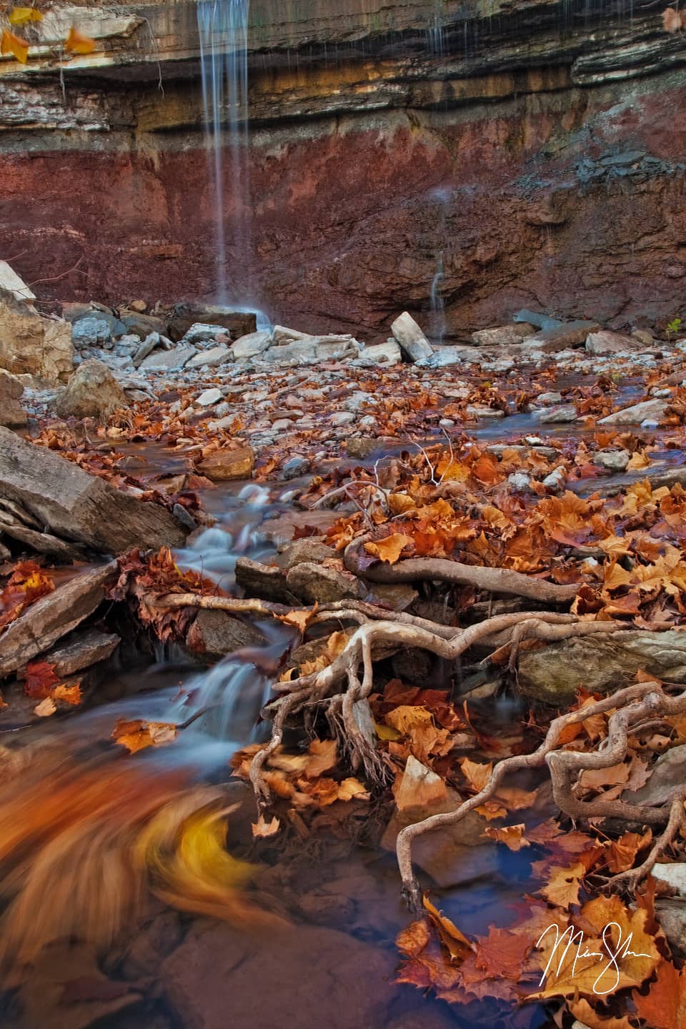 Leaves of Fallen Gold - Cowley Lake Waterfall, Kansas