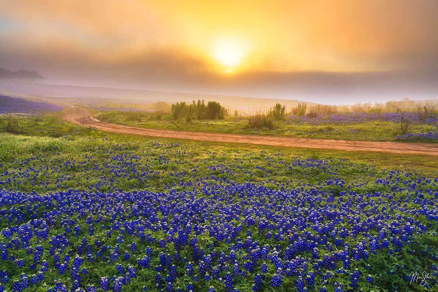 Like a Dream - Muleshoe Bend, Spicewood, Texas