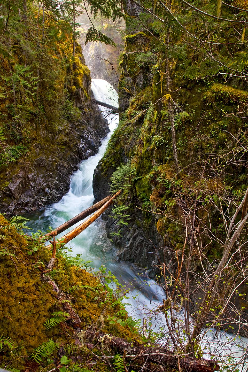 Little Qualicum Falls Canyon - Little Qualicum Falls Canyon, Vancouver Island, British Columbia, Canada