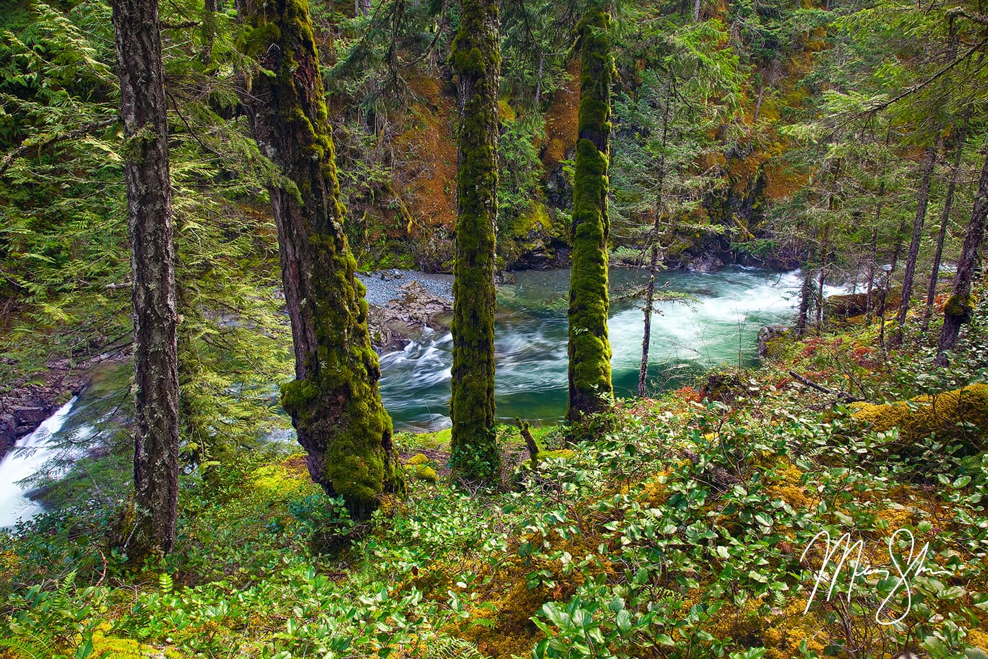 Open edition fine art print of Little Qualicum Falls Provincial Park from Mickey Shannon Photography. Location: Little Qualicum Falls Provincial Park, Vancouver Island, British Columbia, Canada