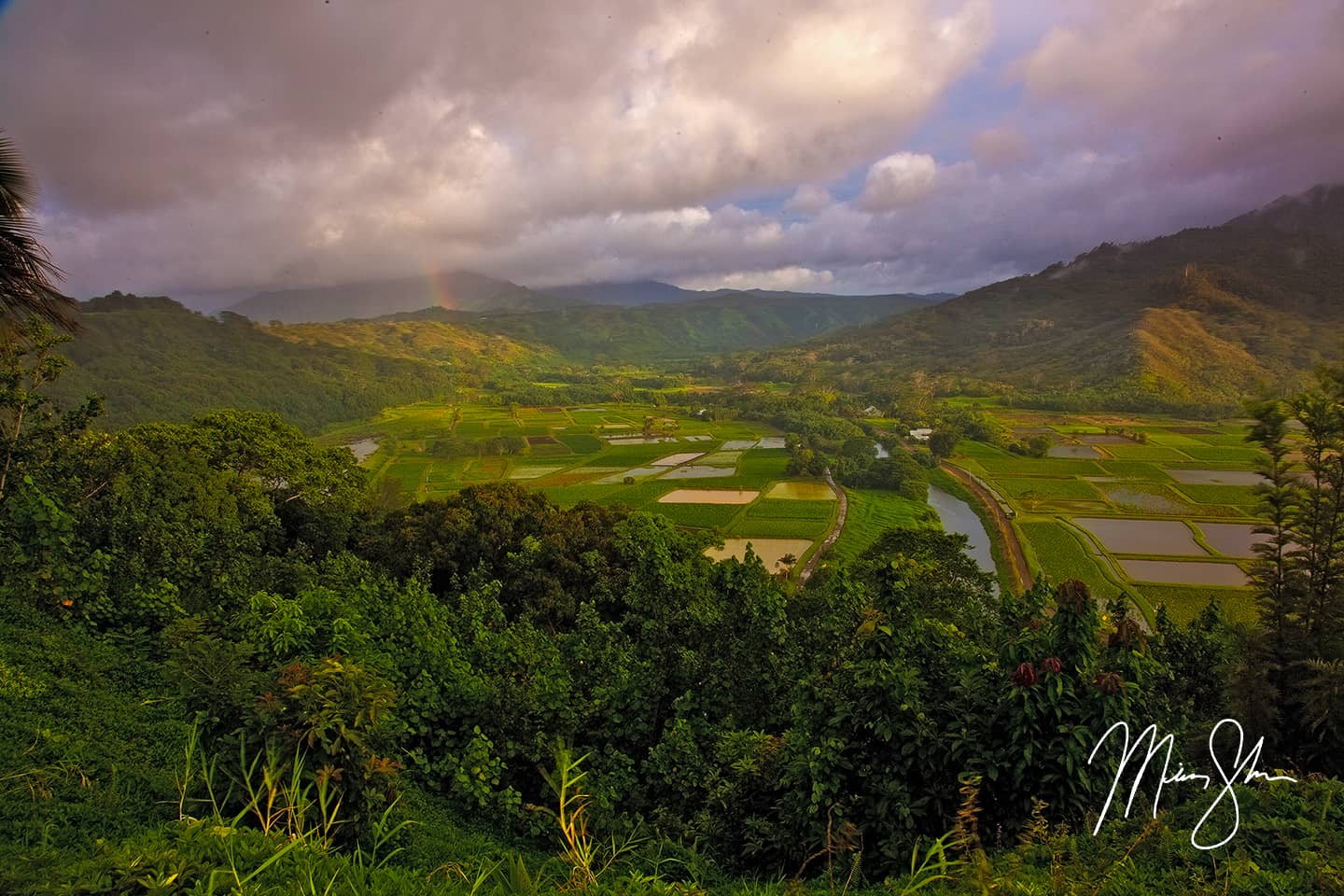 Magical Hanalei Valley - Hanalei Valley, Kauai, Hawaii