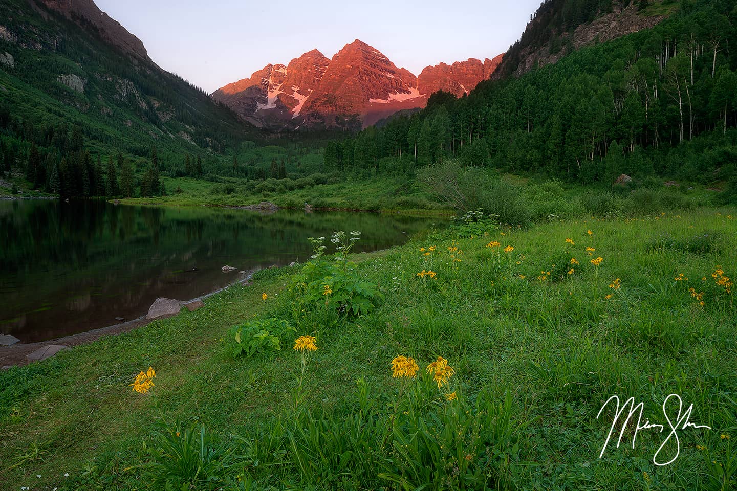 Maroon Bells Wildflower Sunrise - Maroon Lake, Aspen, Colorado