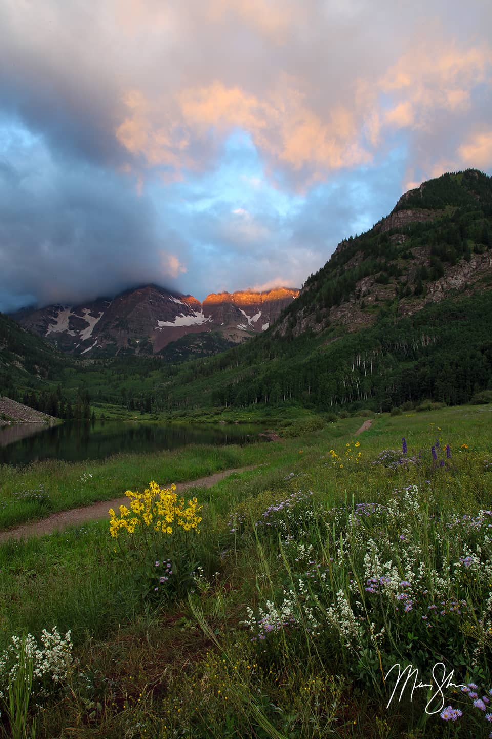 Maroon Bells Wildflowers - Aspen, Colorado