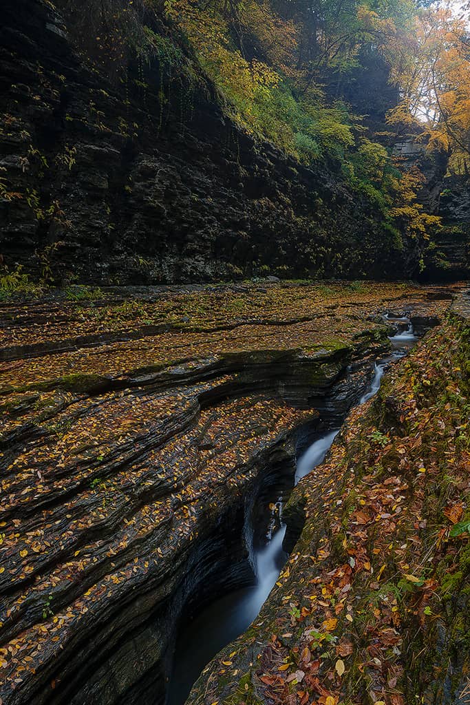 Autumn at the Narrows of Watkins Glen Watkins Glen State Park, NY