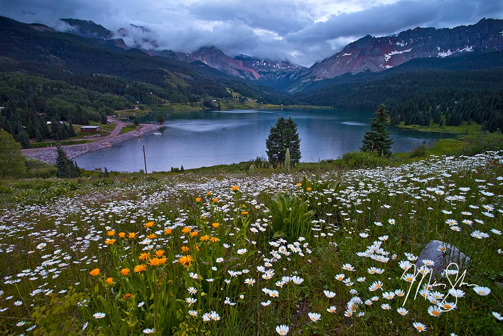 2015 Year in Review: Keeper of the Plains, Big Sur and more!