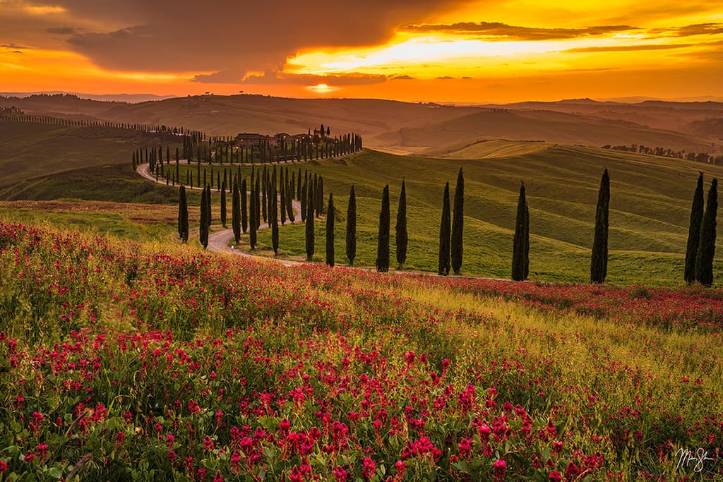 My Top 10 Scenic Drives in Europe | Pictured: Sunset over a Tuscany Field of Flowers