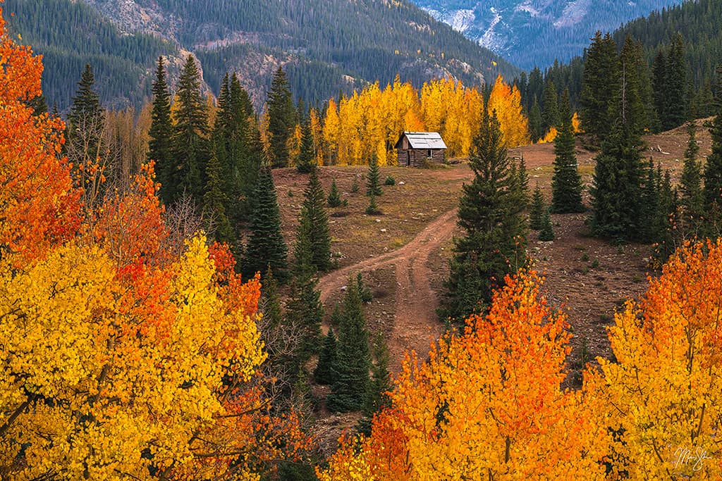 Top Landscape Photos of 2024!