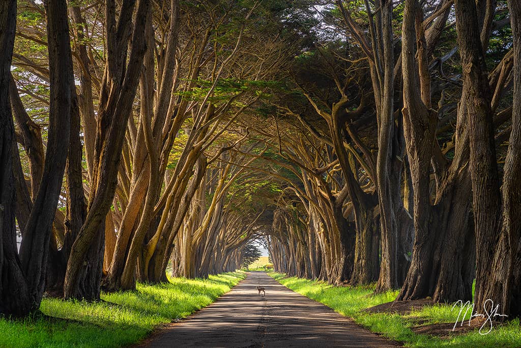 The Best Nature & Landscape Photography Gallery Fine Art from 2019