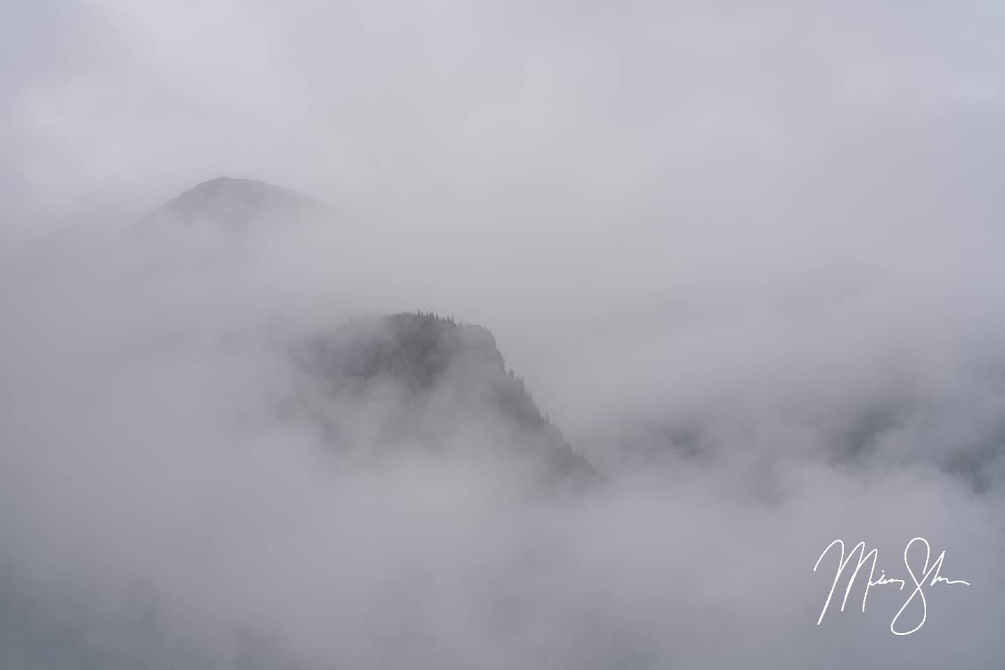 Mist - Great Bear Rainforest, British Columbia, Canada