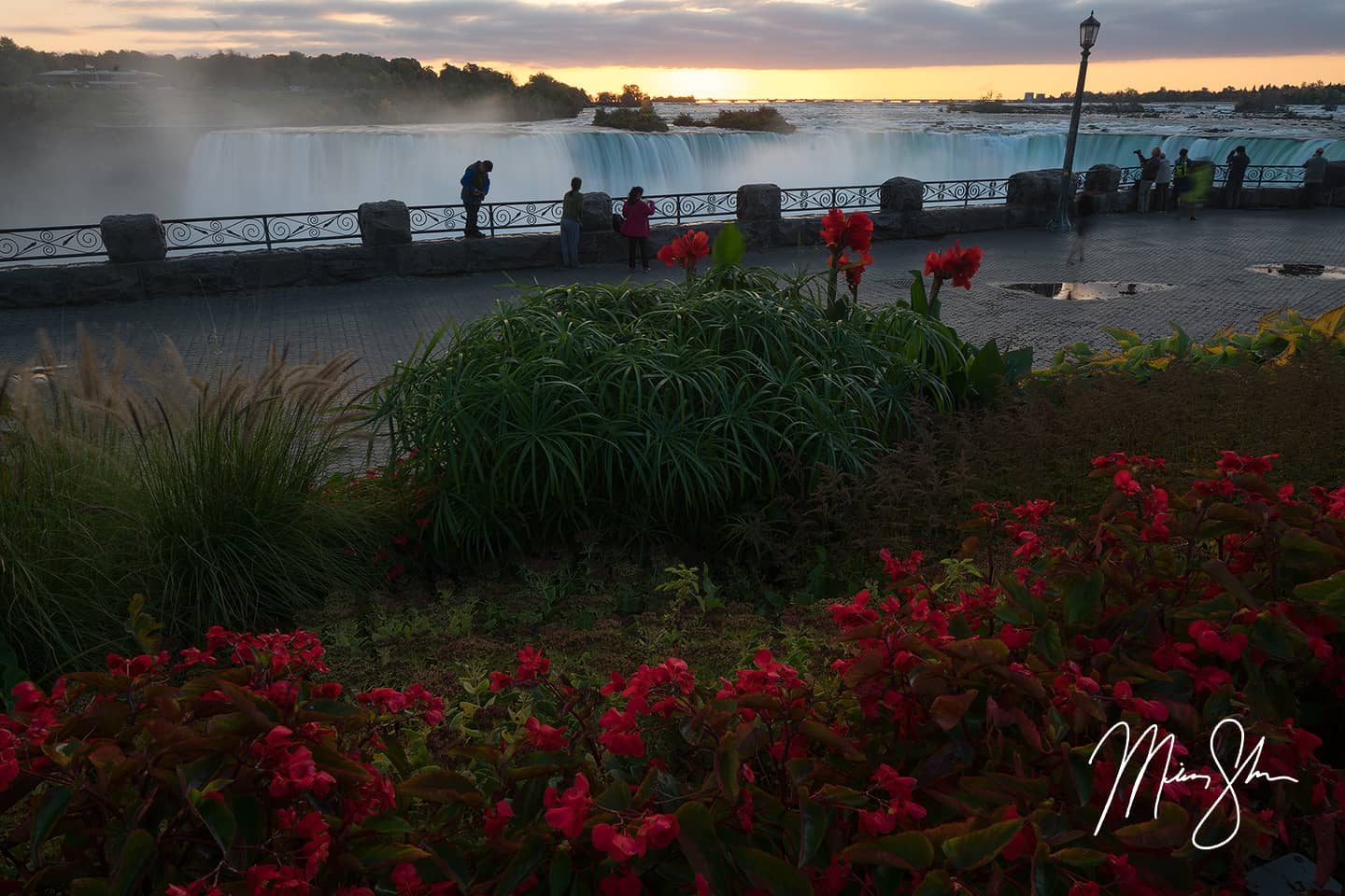 Niagara Falls Flowers - Niagara Falls, Ontario, Canada