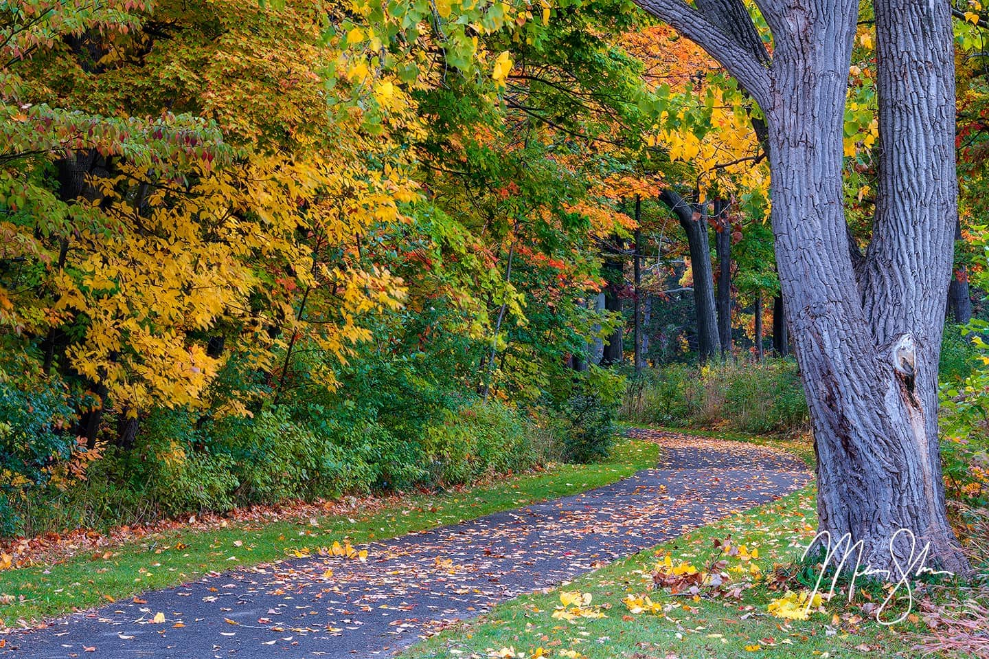 Niagara Parkway Autumn Trail - Niagara-on-the-Lake, Ontario, Canada