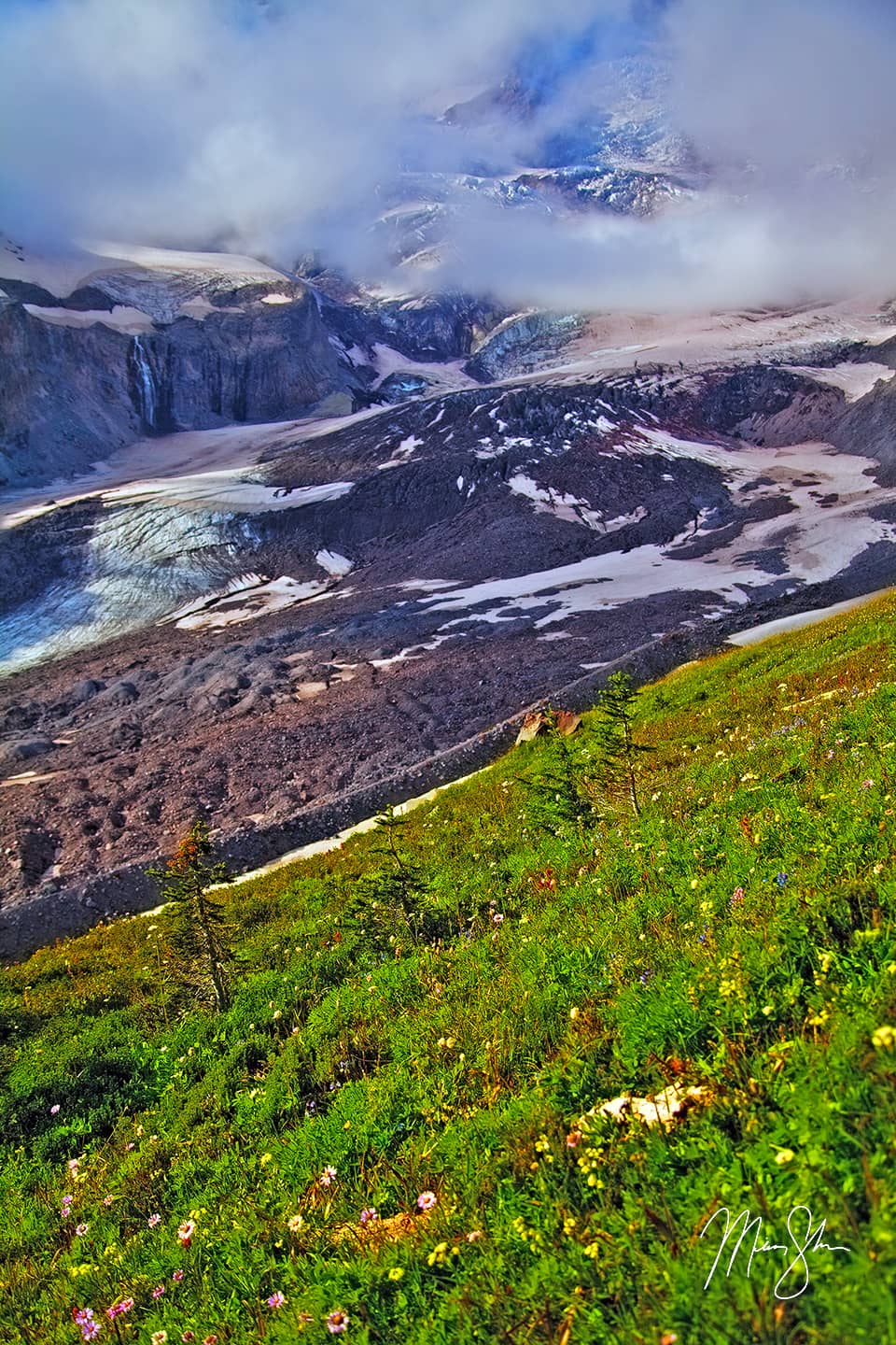 Nisqually Glacier Vertical - Paradise, Mount Rainier National Park, Washington, USA