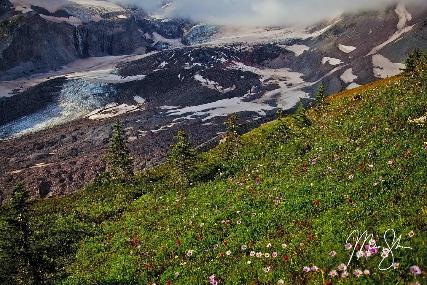 Nisqually Glacier - Paradise, Mount Rainier National Park, Washington, USA