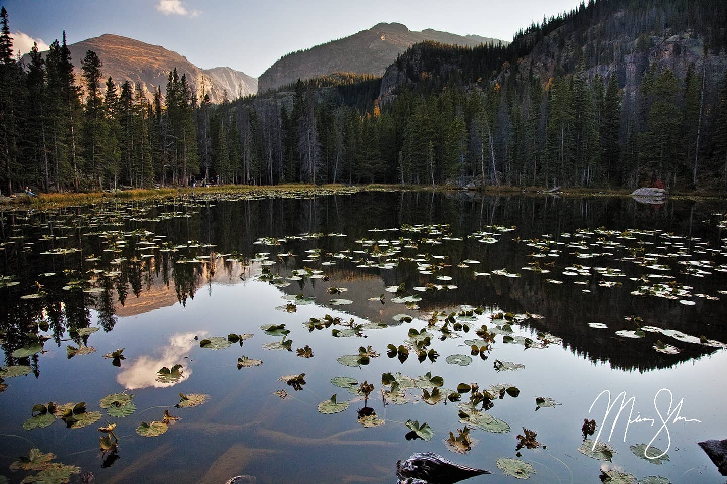 Nymph Lake Calm - Nymph Lake, Rocky Mountain National Park, Colorado