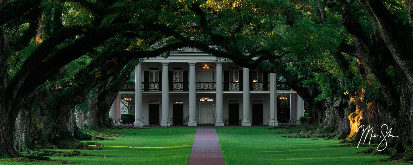 Oak Alley Plantation Fox Panorama