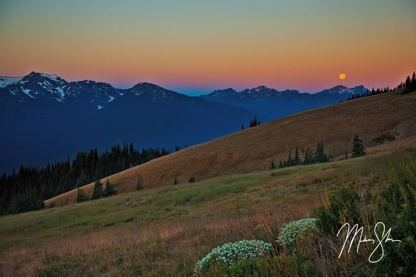 Olympic Moon - Hurricane Ridge, Olympic National Park, Washington, USA