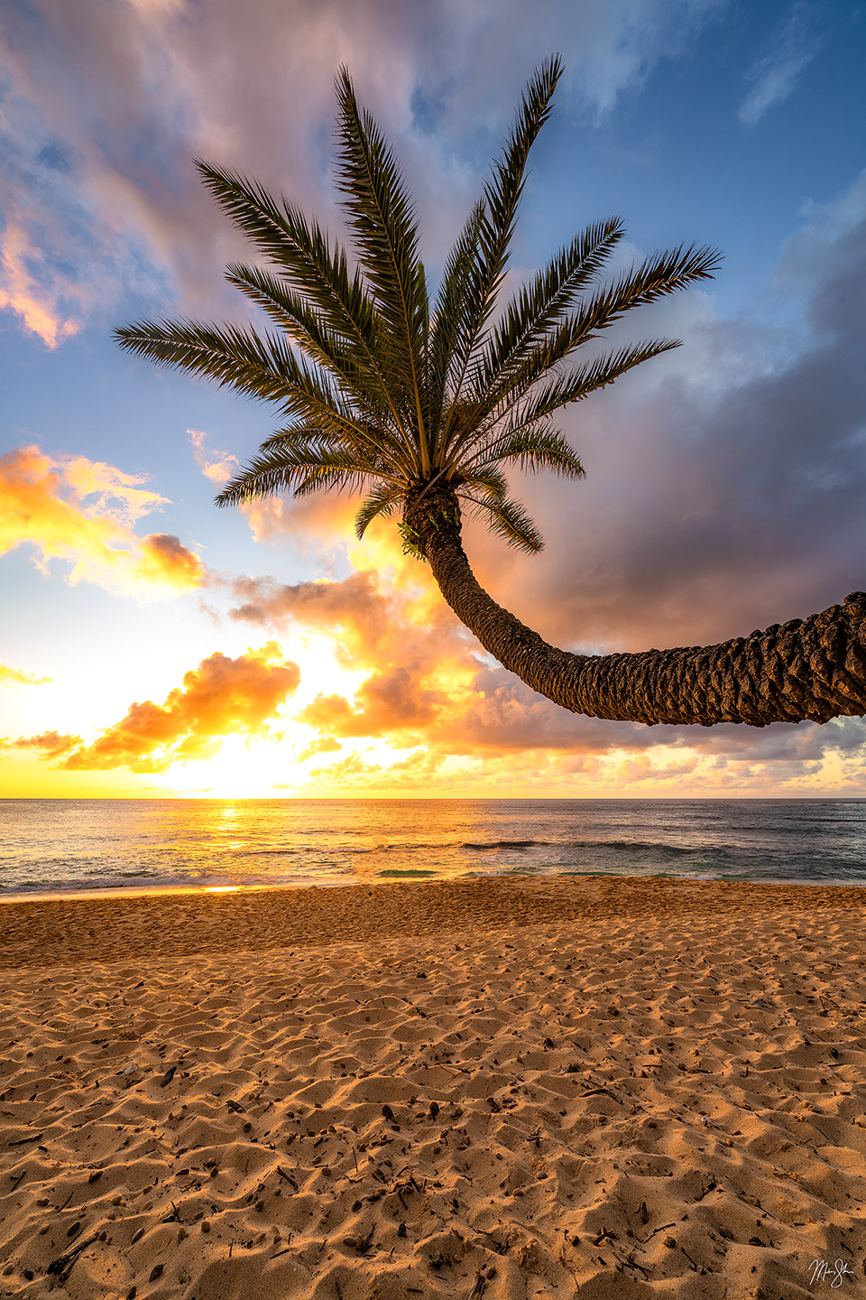A beautiful sunset casts a warm glow over the North Shore of Oahu. I found this curved palm tree at Sunset Beach Park and thought it made for an awesome scene, as the palm tree almost seemed to be stretching out to watch the sunset with me. The glow of the warm sunset casted a golden glow to the sands below as the clouds turned from yellow to orange above.