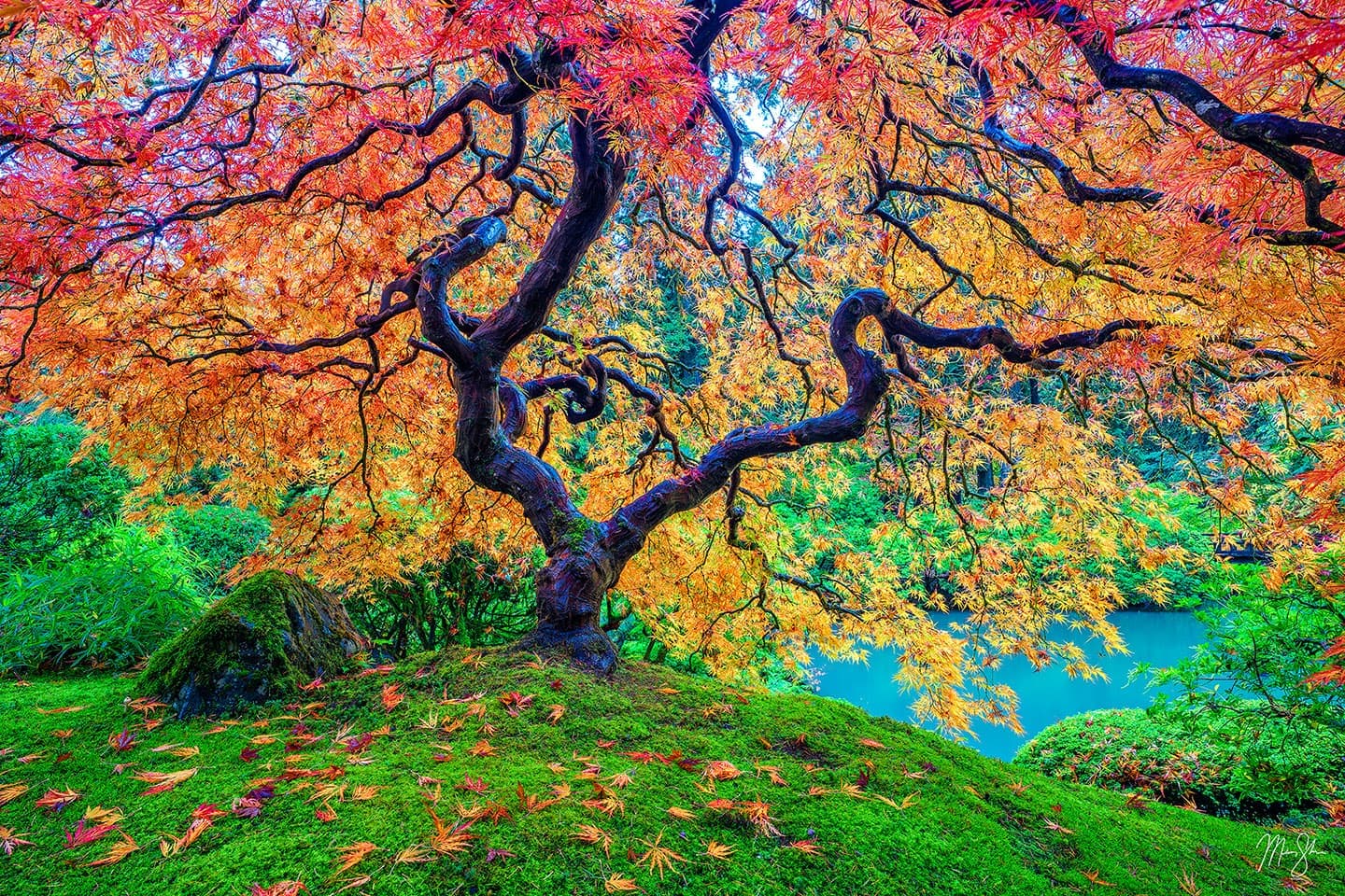 portland-japanese-garden- portland-japanese-garden-