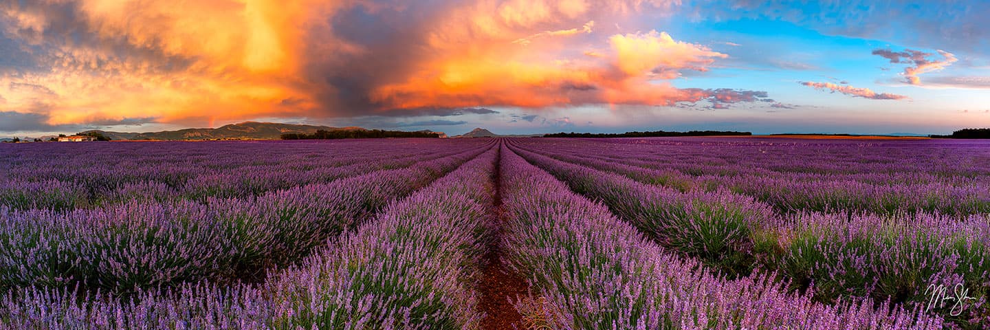 Provence Sunset Panorama - Valensole Plateau, Provence, France