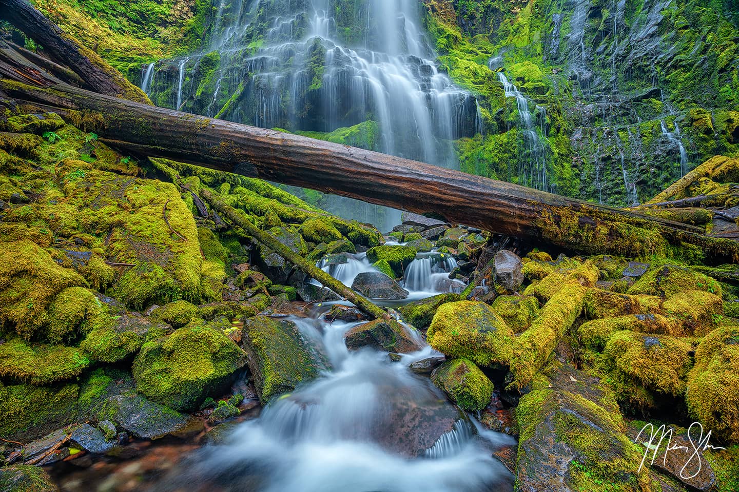 Proxy - Proxy Falls, Oregon