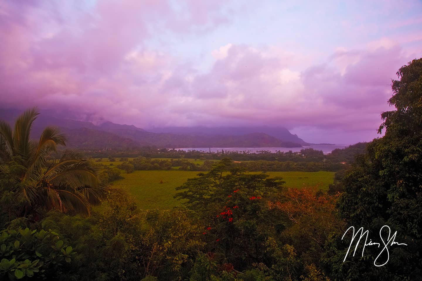 Purple Hanalei Bay - Hanalei, Kauai, Hawaii