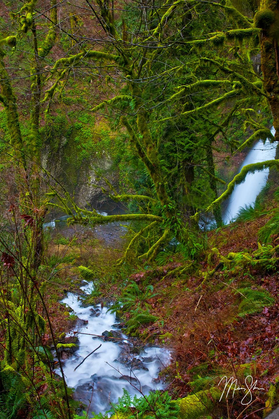 Rainforest Falls - Columbian River Gorge, Oregon