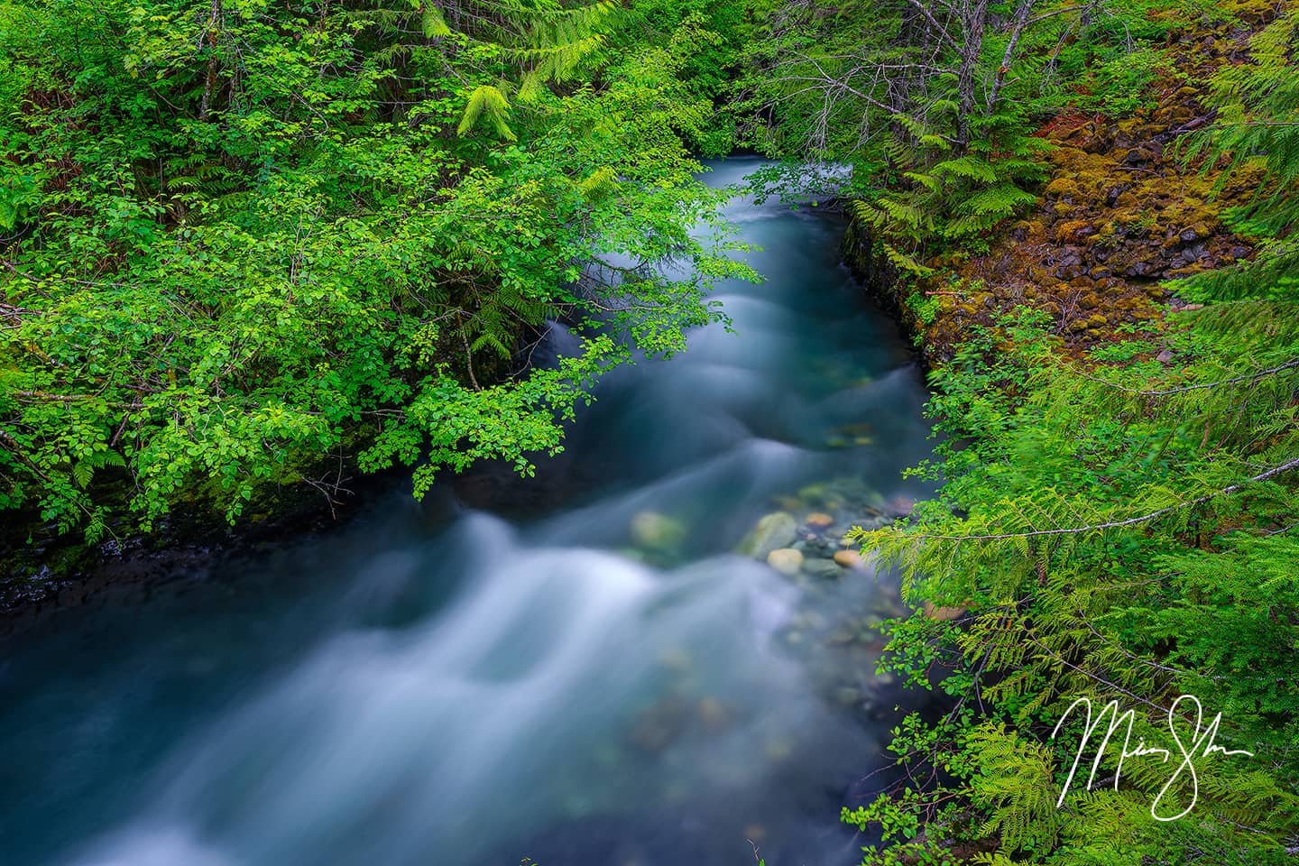 Water flows down the Cheakamus River upstream from Brandywine Falls in the soft evening light