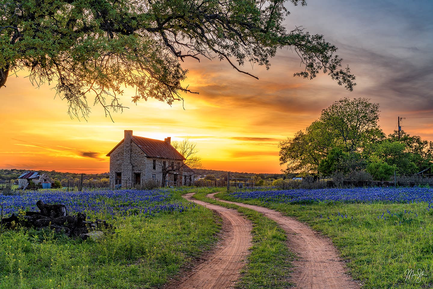 Road to the Bluebonnet House - Texas Hill Country