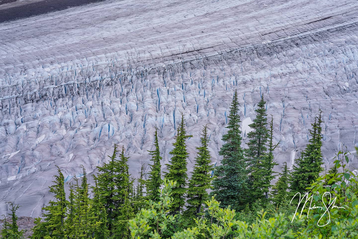 Close-up of the Salmon Glacier