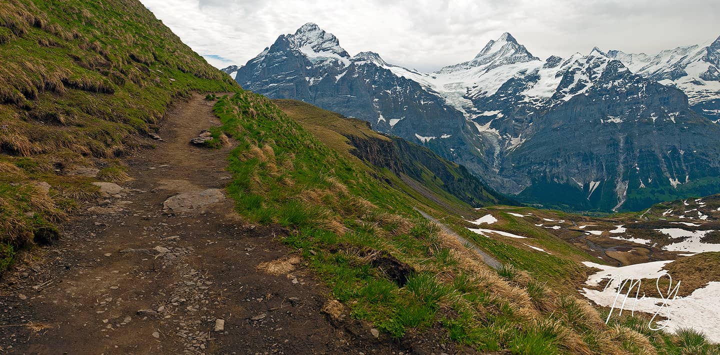 Schreckhorn and Wetterhorn - First, Grindelwald, Switzerland