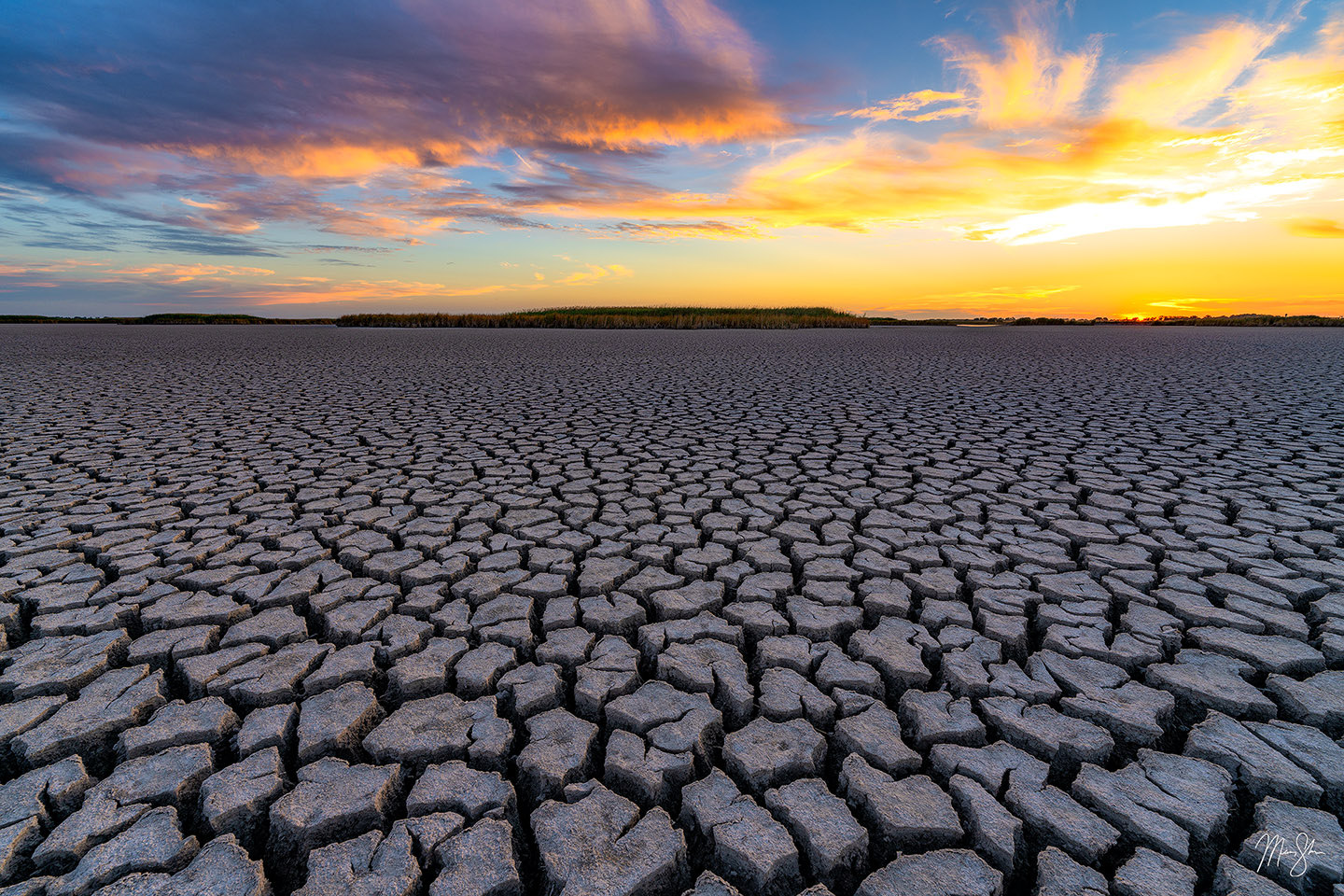 Shattered Dreams - Quivira National Wildlife Refuge